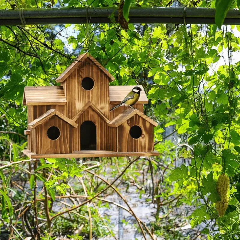 Outdoor Bird House, Small House Style Bird House, Natural Wooden Hummingbird and Cardinal House, Outdoor Hanging
